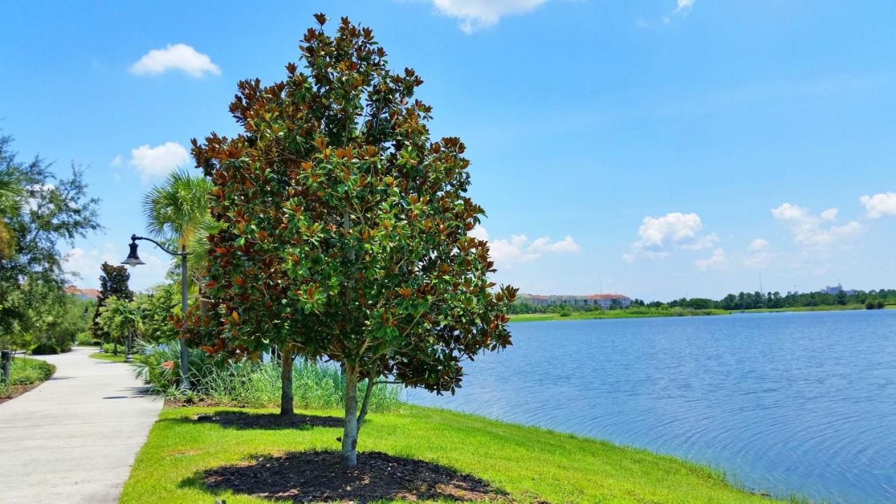 Beautiful Condo At Vista Cay Resort Near Wdw Orlando Exterior photo